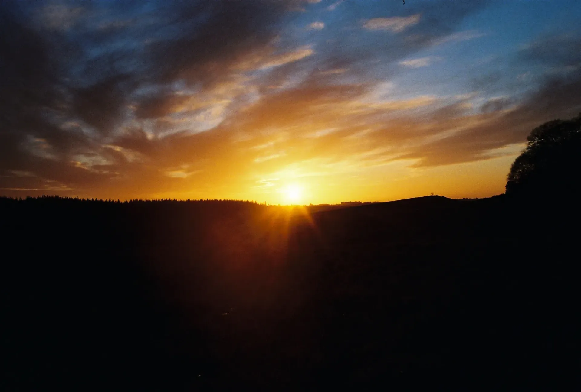 Home Page Background